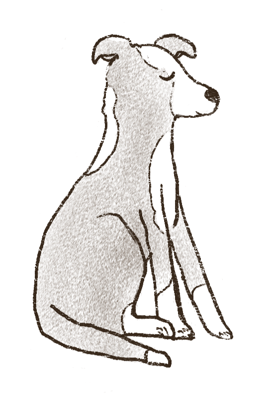 Ilustração da Bali